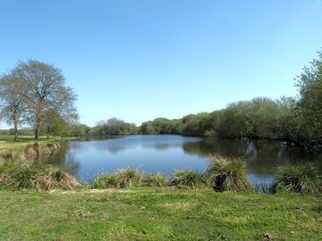 Peaceful site with fishing lake