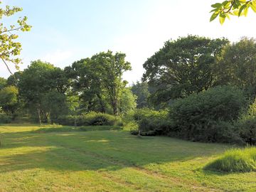 Pitches by the woods