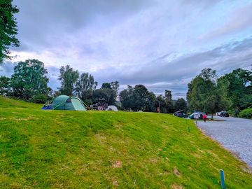 Hardstanding campervan pitches on the right and tent pitches up the bank