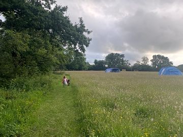 View of pitches