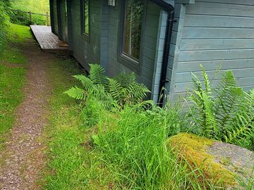 Entrance to log cabin