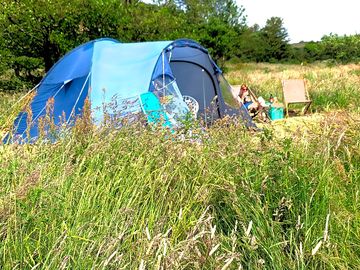 View of typical pitch, showing features of the long meadow grass and ferns surrounding each pitch