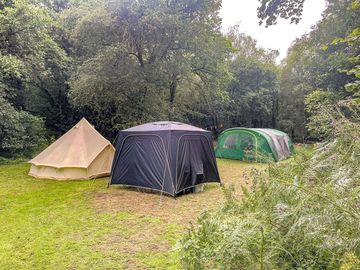 Meadow campers