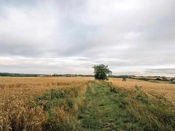 Heading towards glemsford