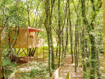Cabin in the woods