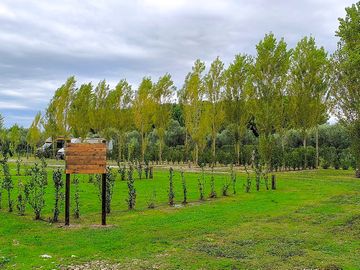 The greenery around the pitches