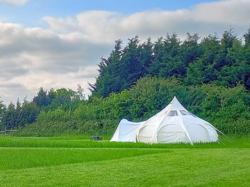 Camping field with mown pitches