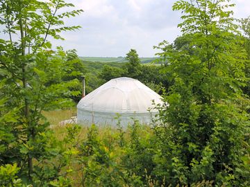 Middle yurt outside