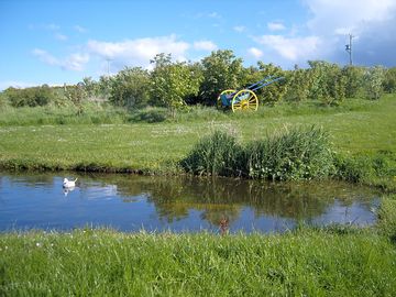 Peaceful surroundings