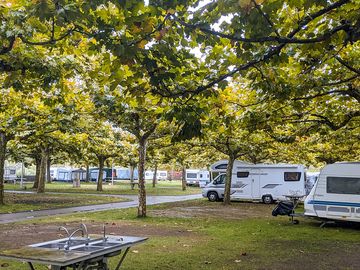 Visitor image of pitches under the trees