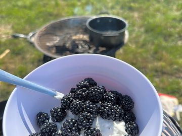 Foraged fruit for breakfast