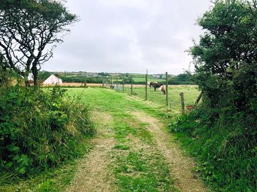 Access into the field