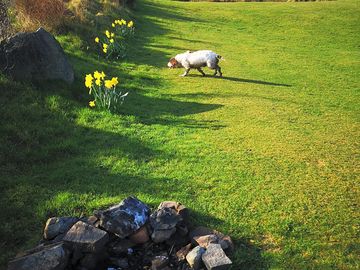 Firepits dotted around the site