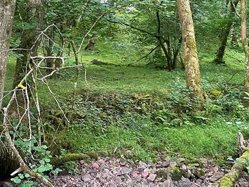 Woodland pitches