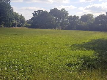 Peaceful pitches