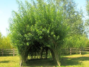 Small den for children