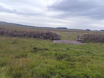 A haven for wildlife