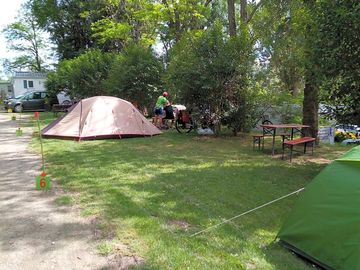 Pitches under the trees