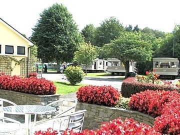 These are our lovely mobile homes for hire on site.