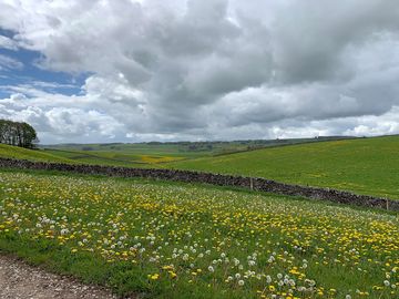 A lovely view from the field