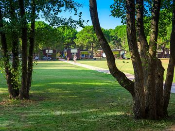 View from the park