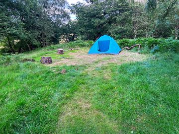 Peaceful green pitches