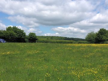 View from electric pitches at near end of strawberry field