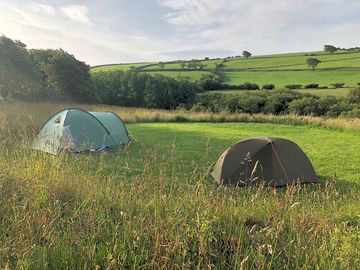 Plenty of room on these pitches