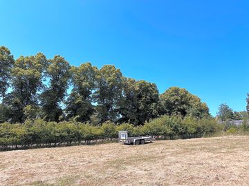 Wild pitch meadow