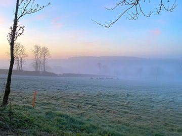 Misty morning