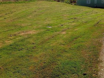 Grass pitches