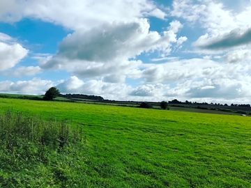 Grassy pitches in the field