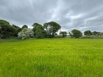 Field