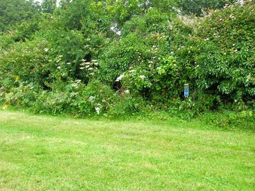 Camping field