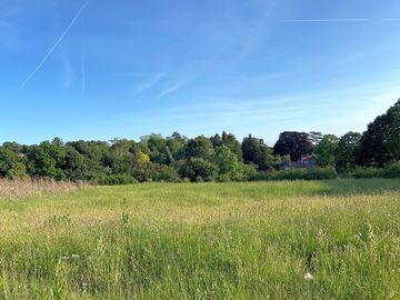 Quiet wild meadow