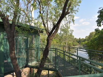 View of the lagoon from the treetop boardwalk