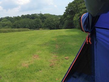 Great views of the fields