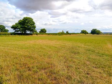 The camping field