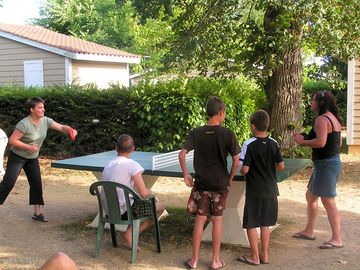 Compete at table tennis
