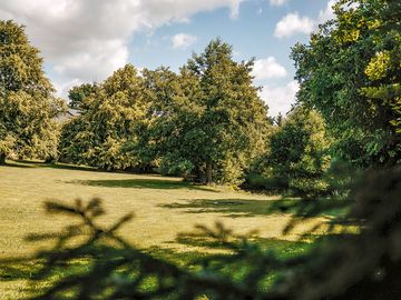 Camping meadow surrounded by trees