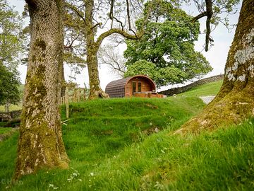 Exterior of rivendell pod