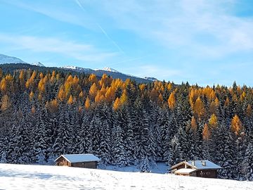 Winter snow on bellamonte