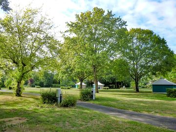Partially shaded grass pitches