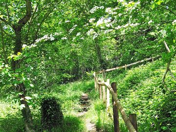 Walking path on site