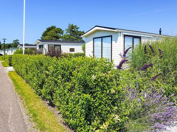 Green hedgerows