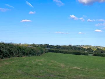 View of the site