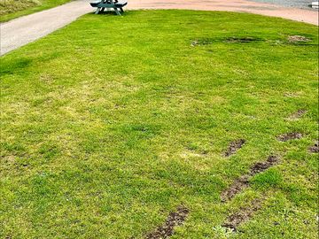Grass pitches
