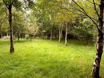 Camping area