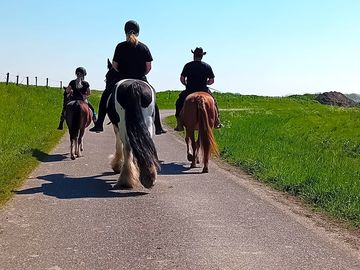 Horse riding on site