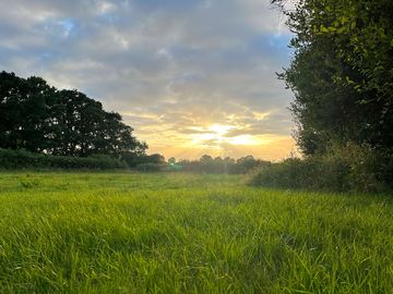 Camping field